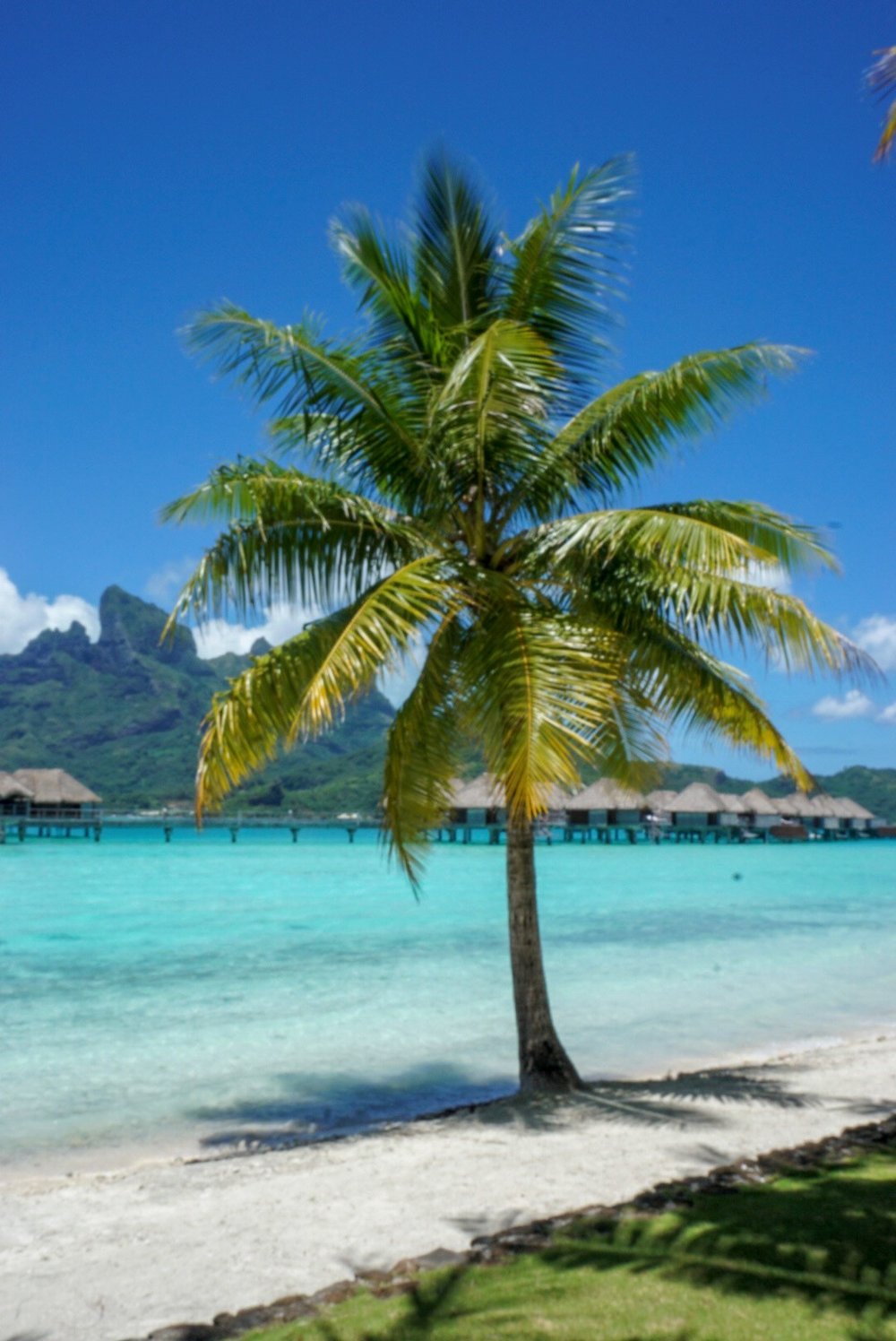 FOUR SEASONS BORA BORA 3.jpg