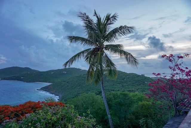 Mustique 7.jpg