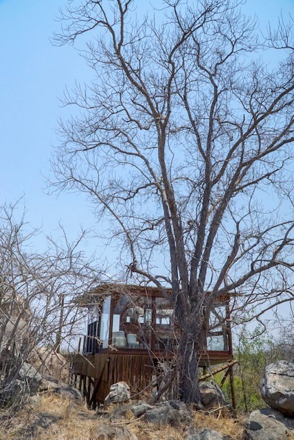 lion sands treehouse 1.jpg