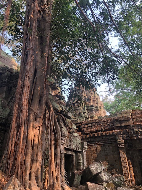 cambodia 7.jpg