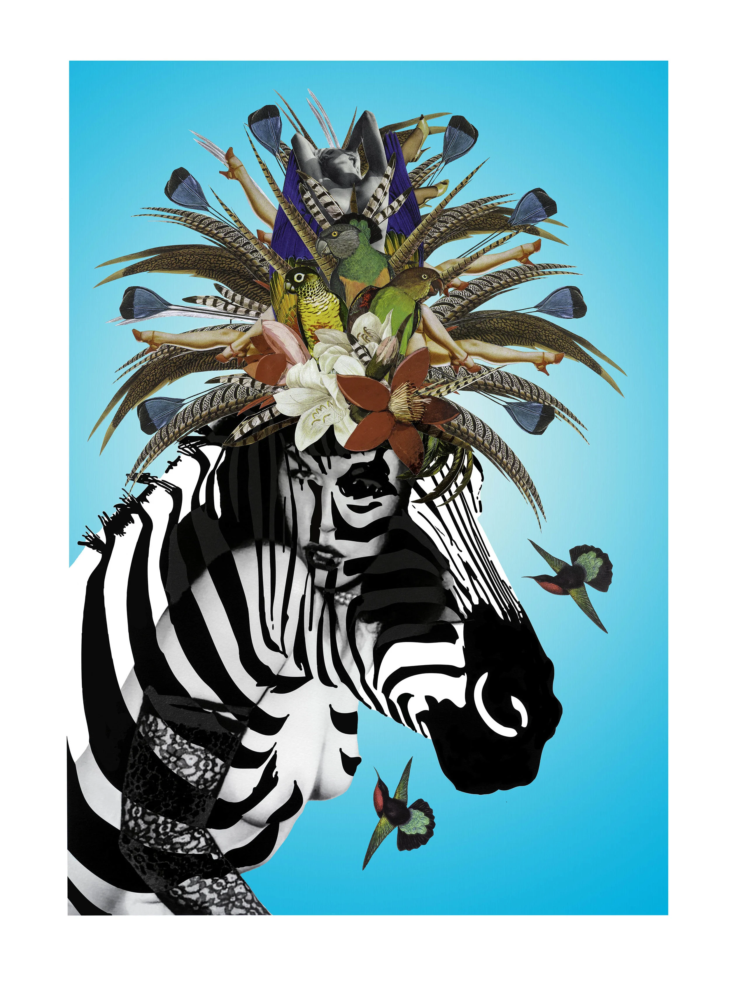 NC_Animal _Attraction_ FIXED V5 copy.jpg