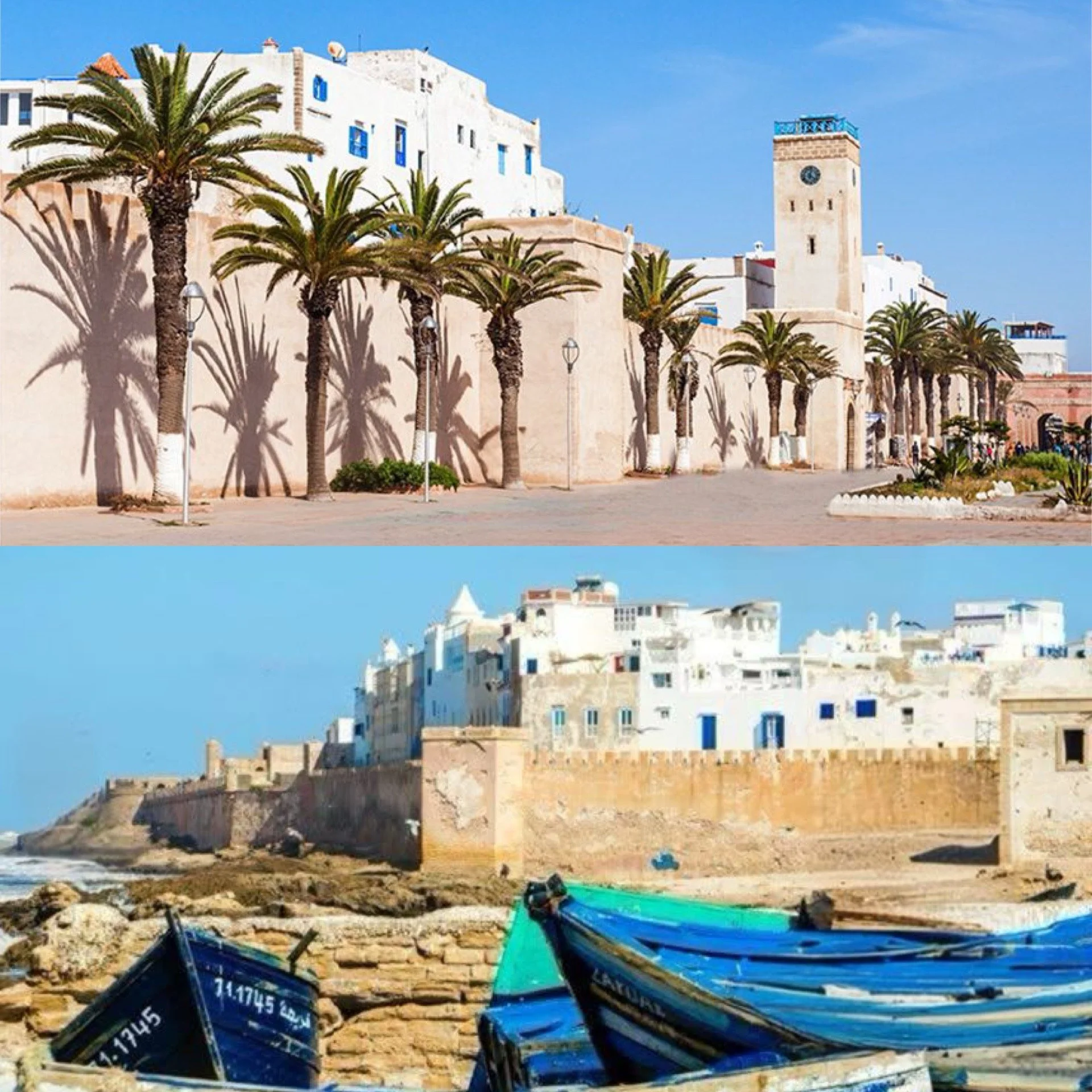 MOROCCO ESSAOUIRA.JPG
