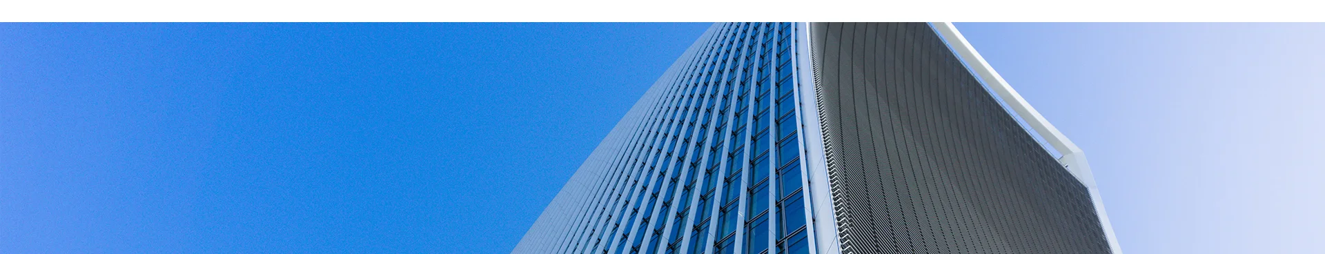 Markel International.jpg