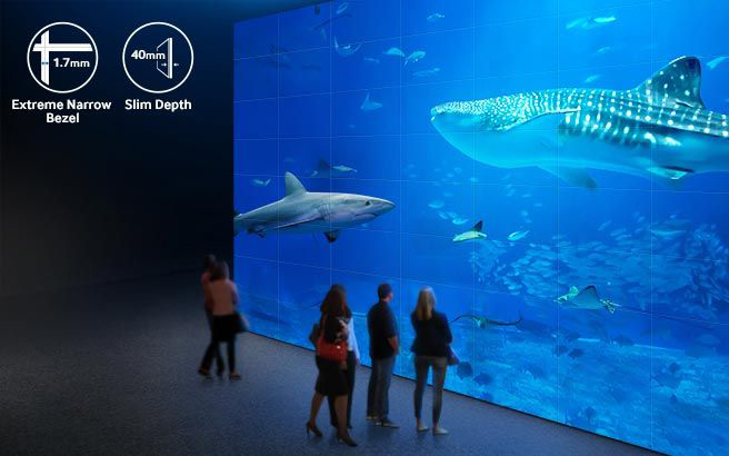 Bezel Free Video Wall