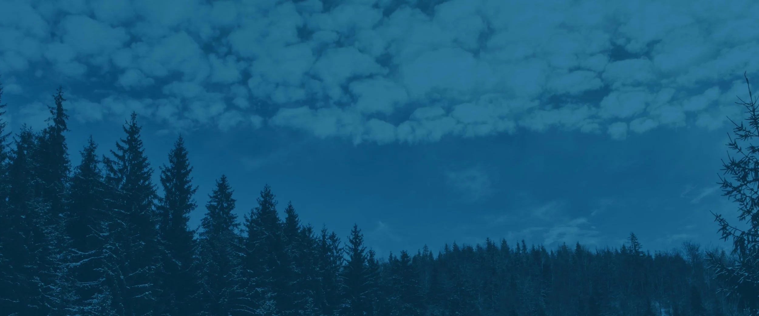 Banner_04.jpg