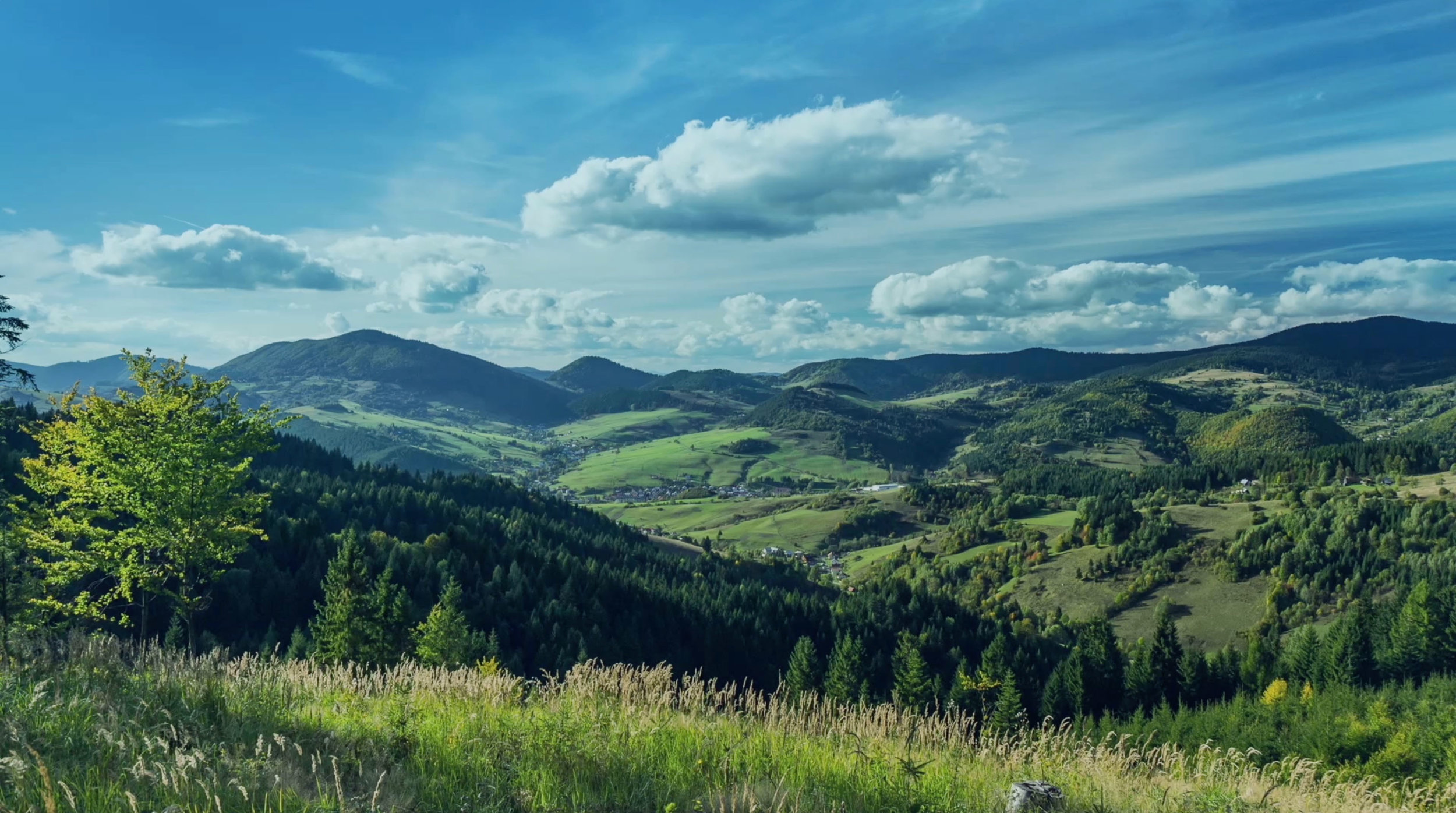 HeaderBanner_VideoStill_V2.jpg