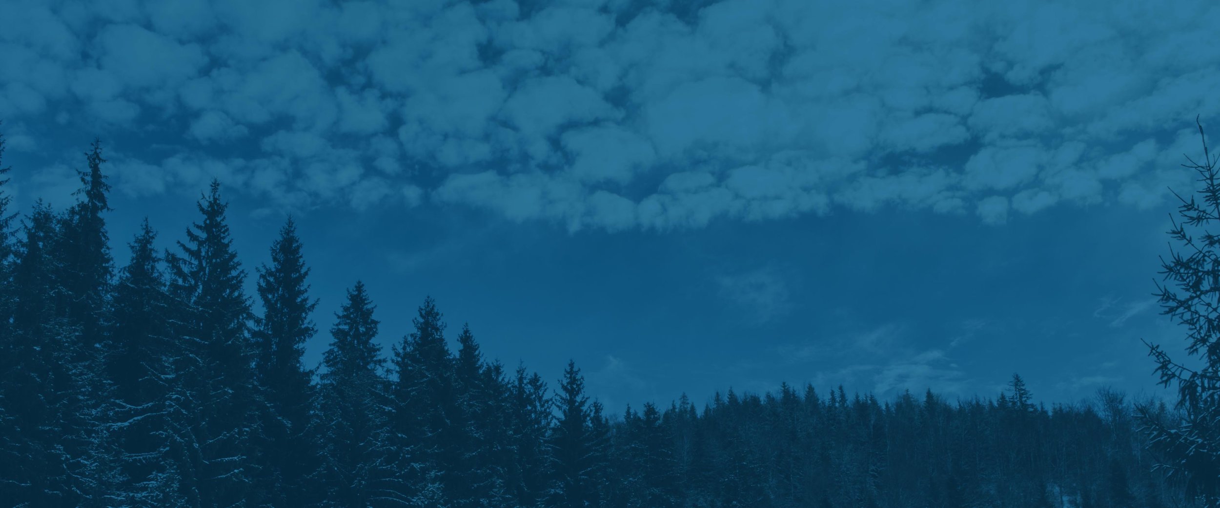 Banner_04.jpg