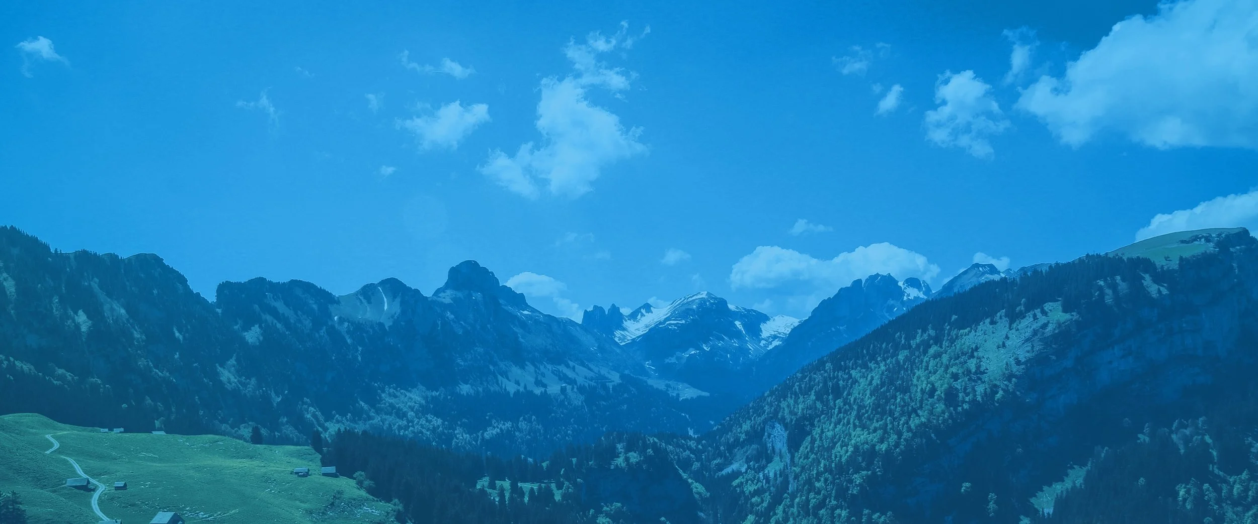 Banner_21-min.jpg