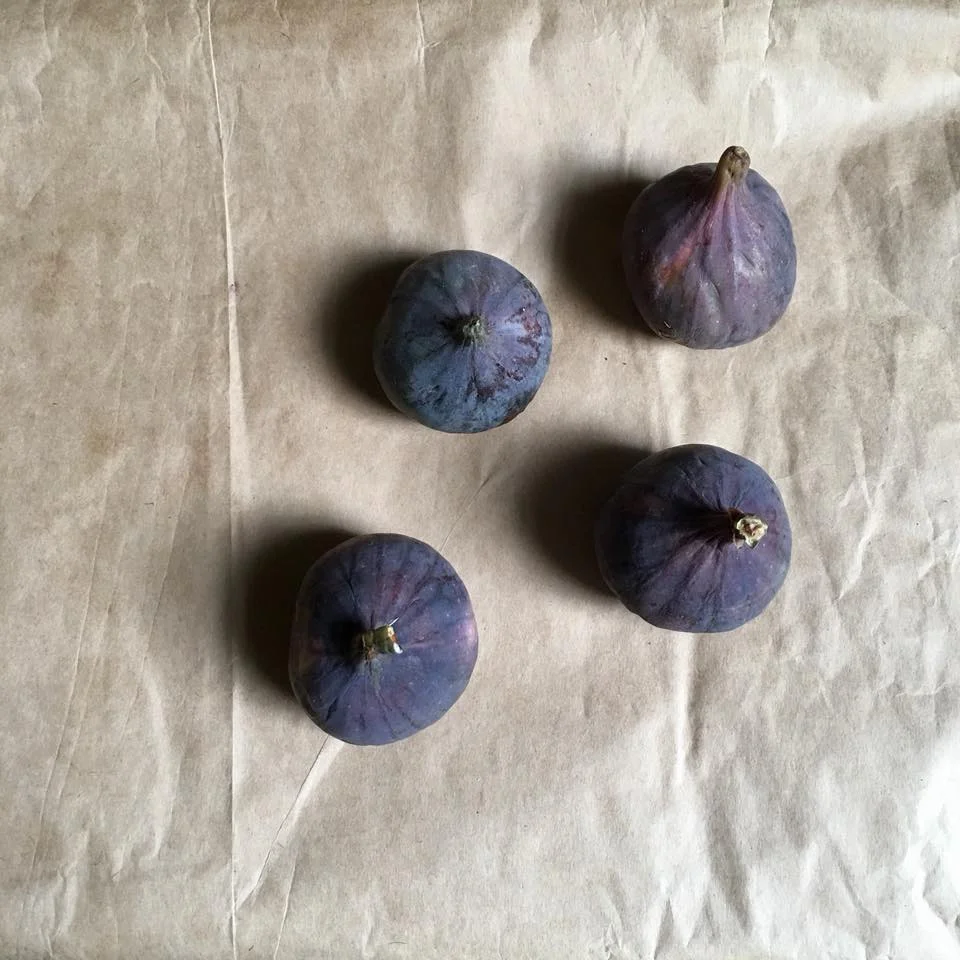 Figs Luke .jpg