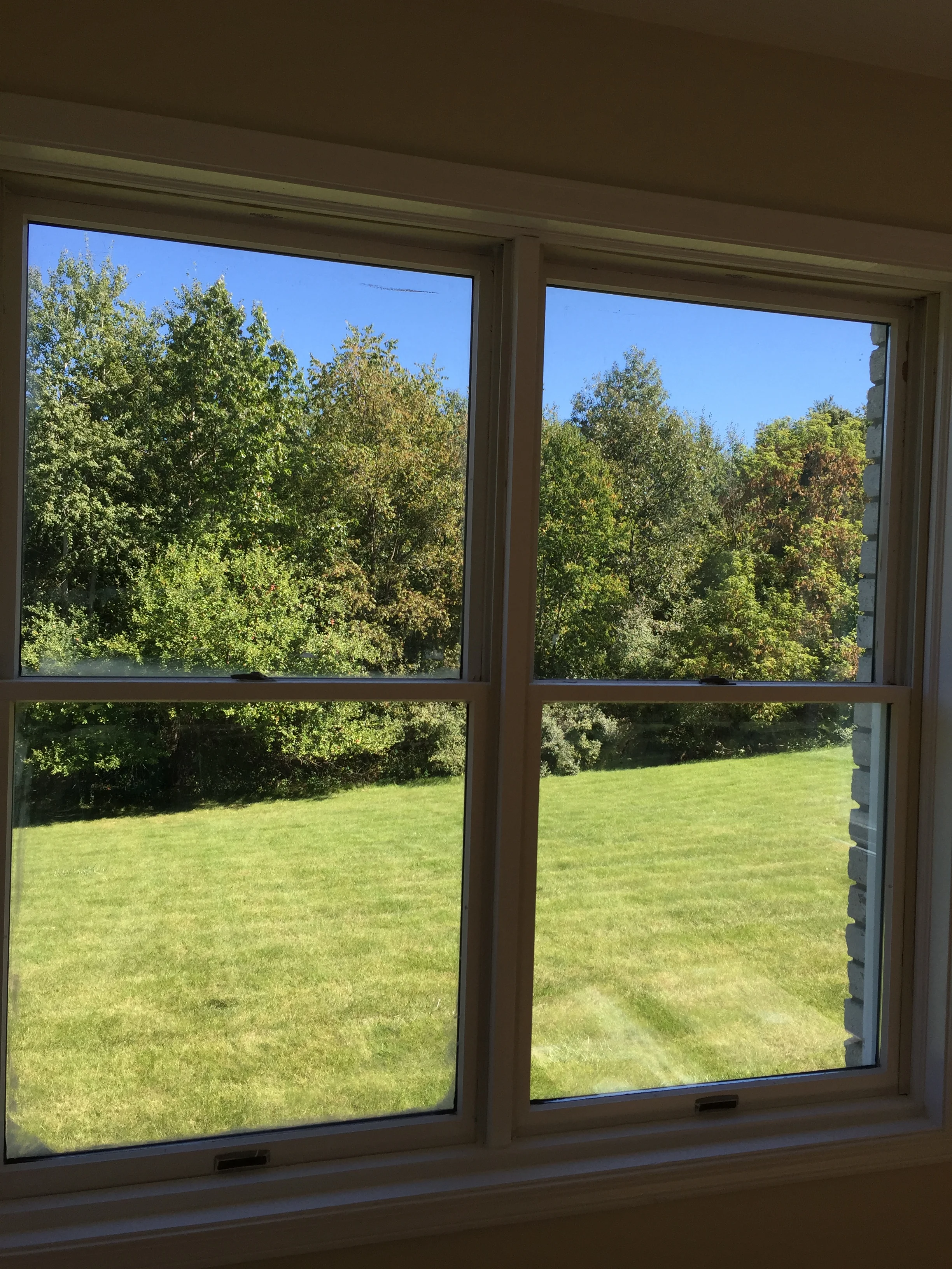 Window Views