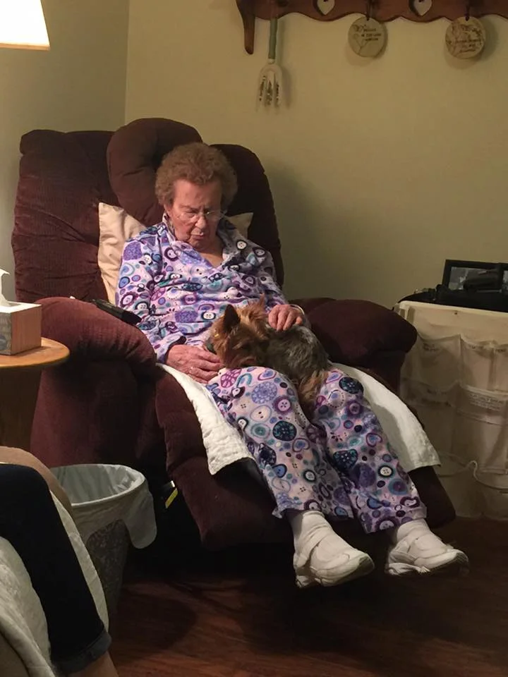 Pet therapy