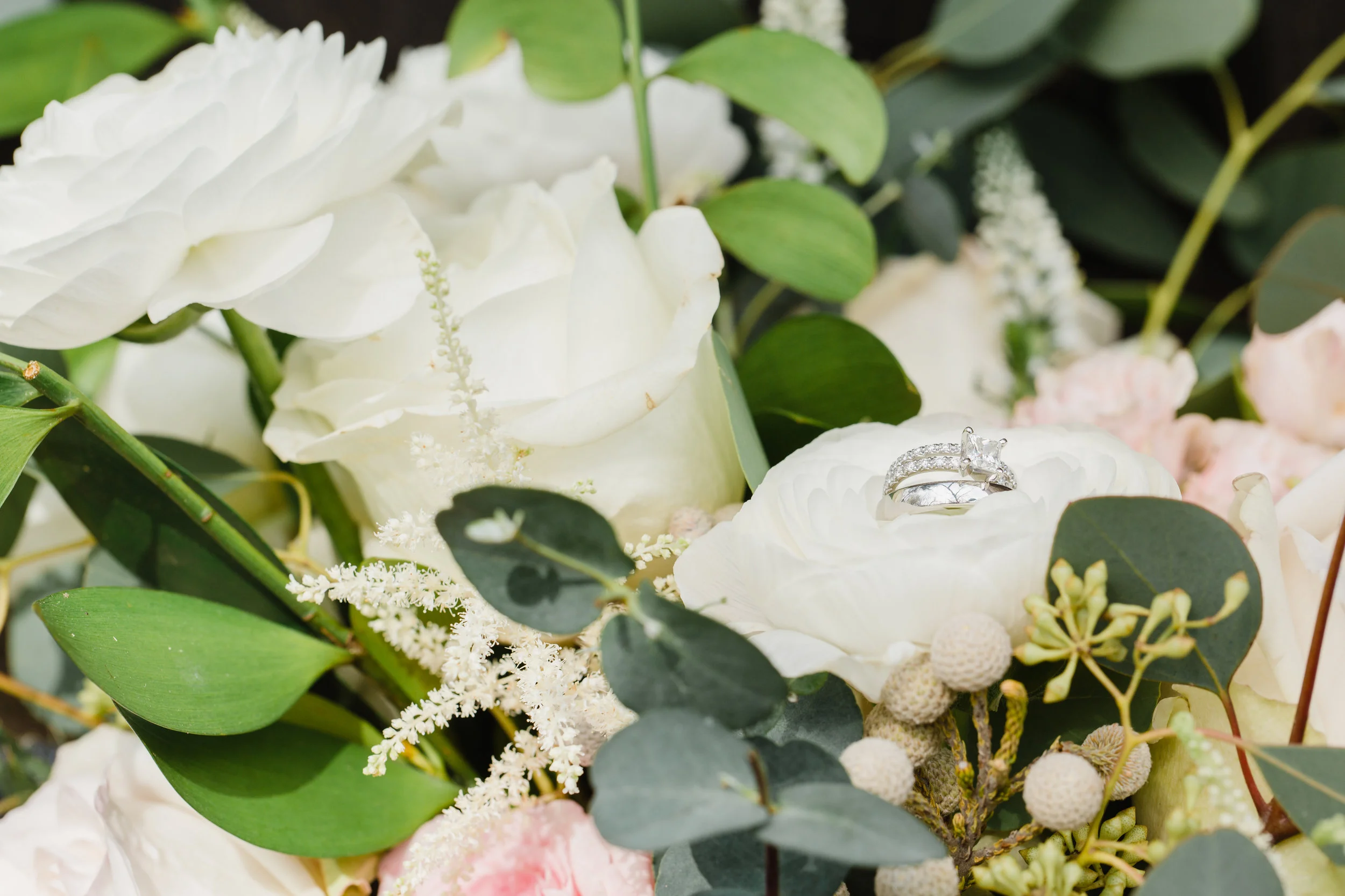 chelsearaleighphotography-7.jpg