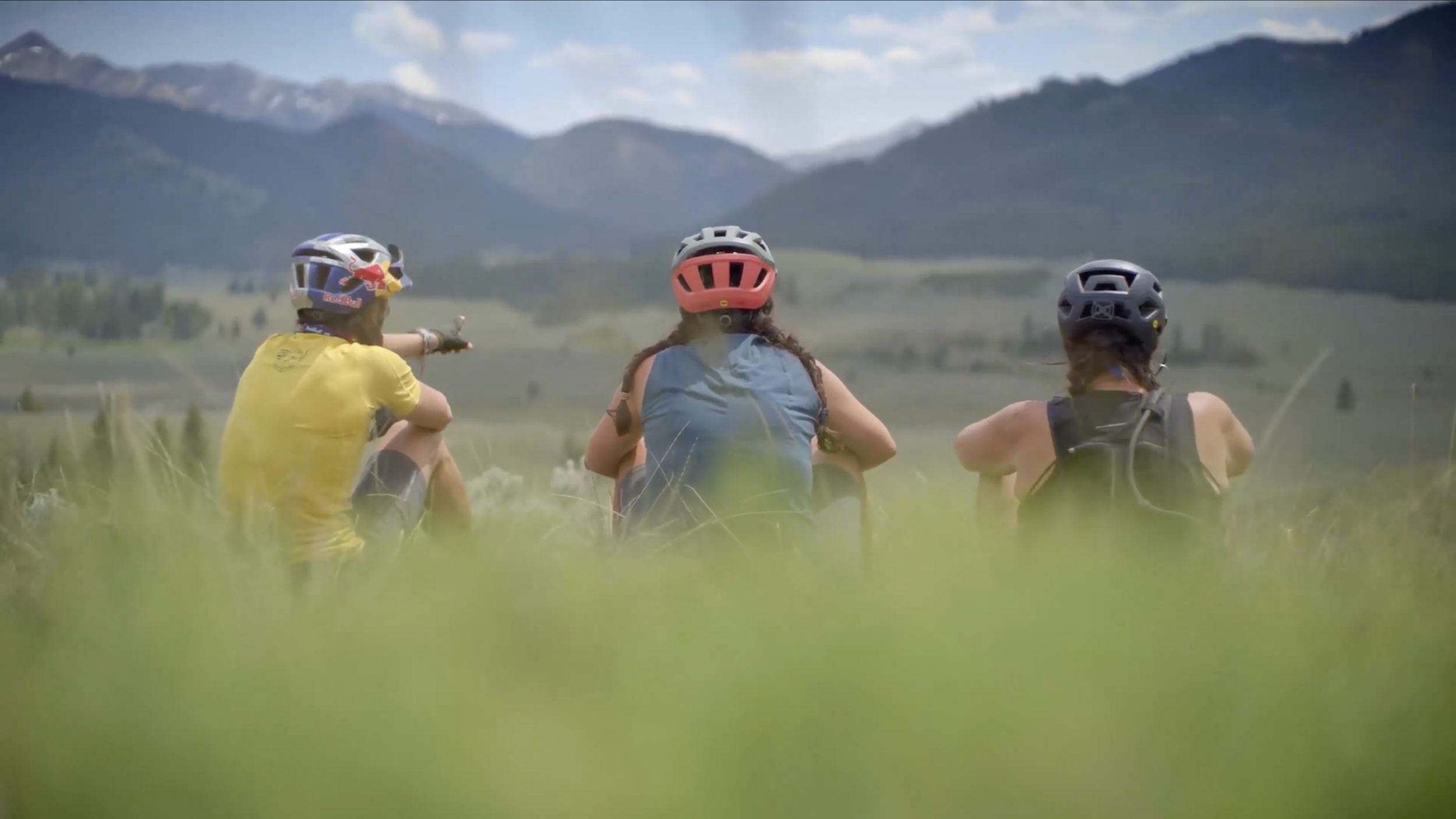 Screenshot 2026-02-14 at 4.17.36 PM.png