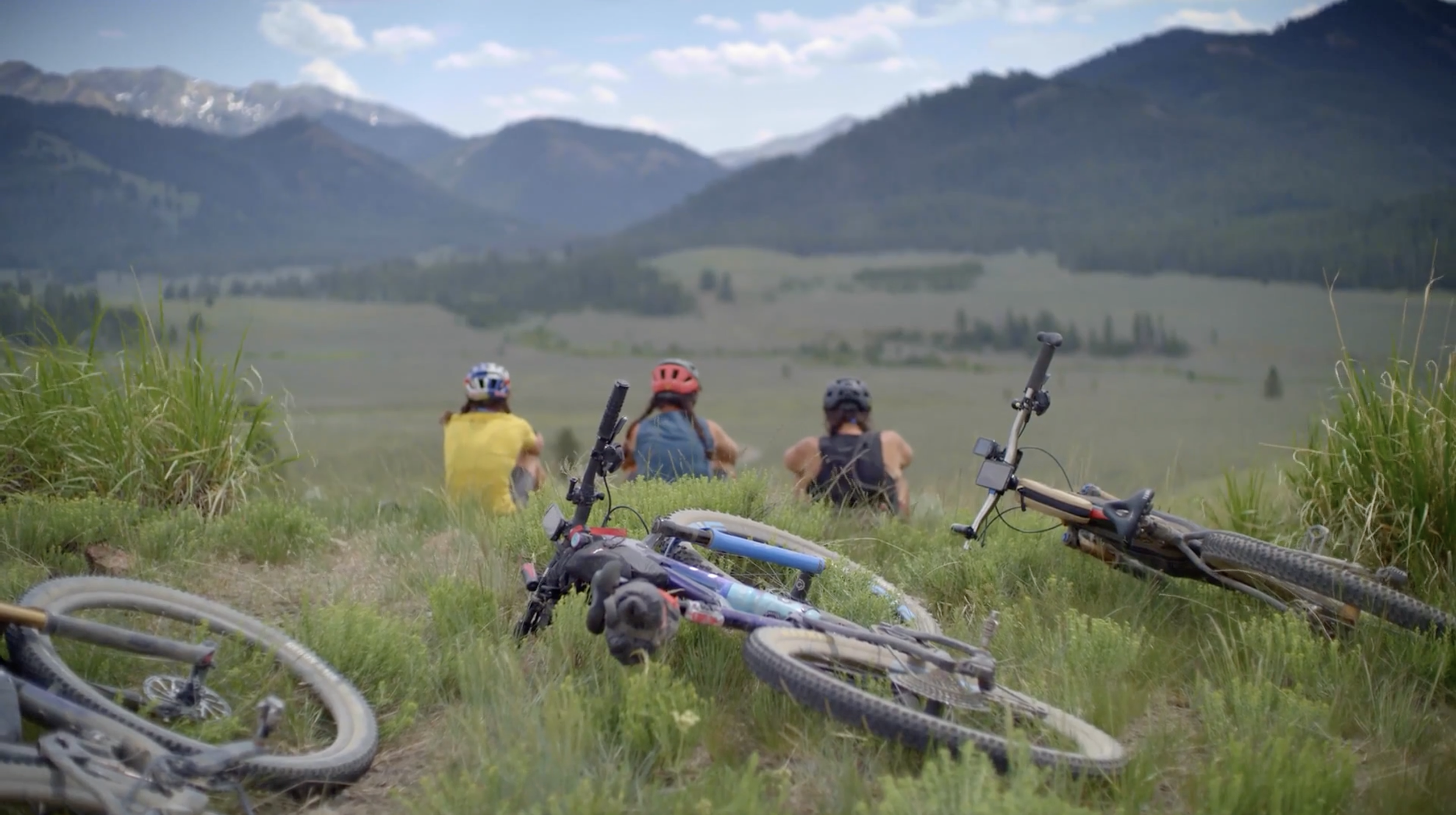 Screenshot 2026-02-14 at 4.18.16 PM.png