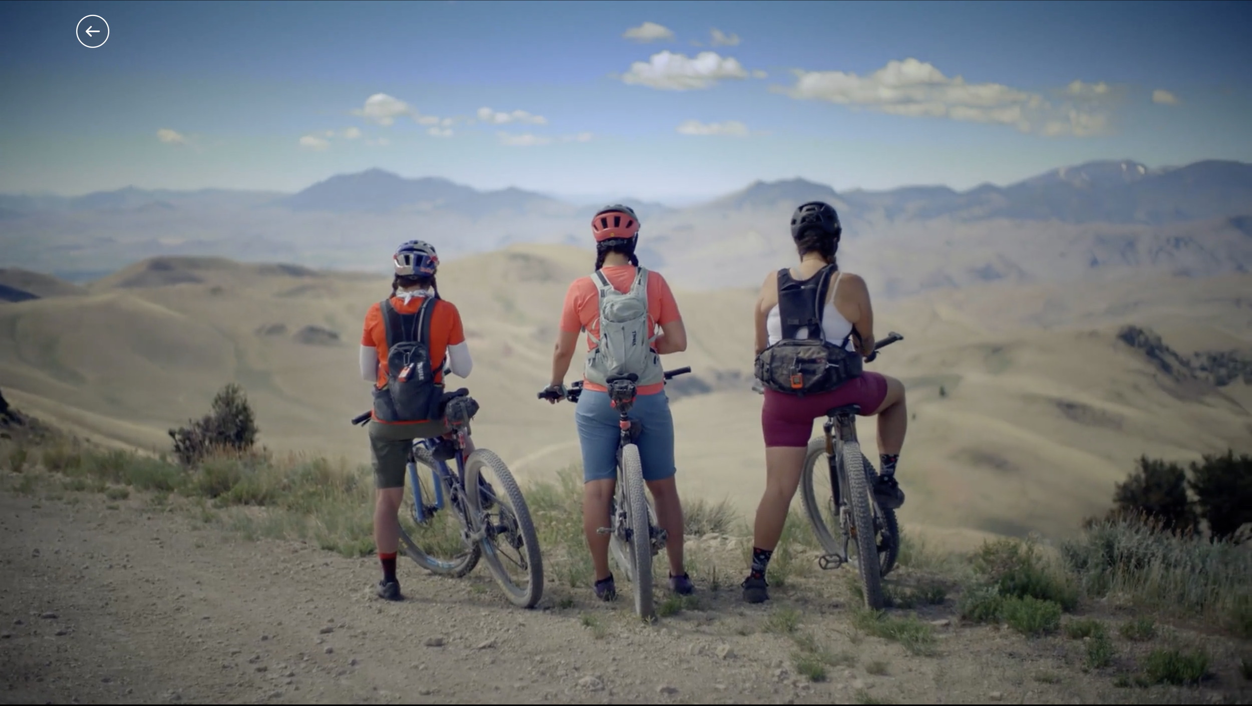 Screenshot 2026-02-14 at 4.41.52 PM.png