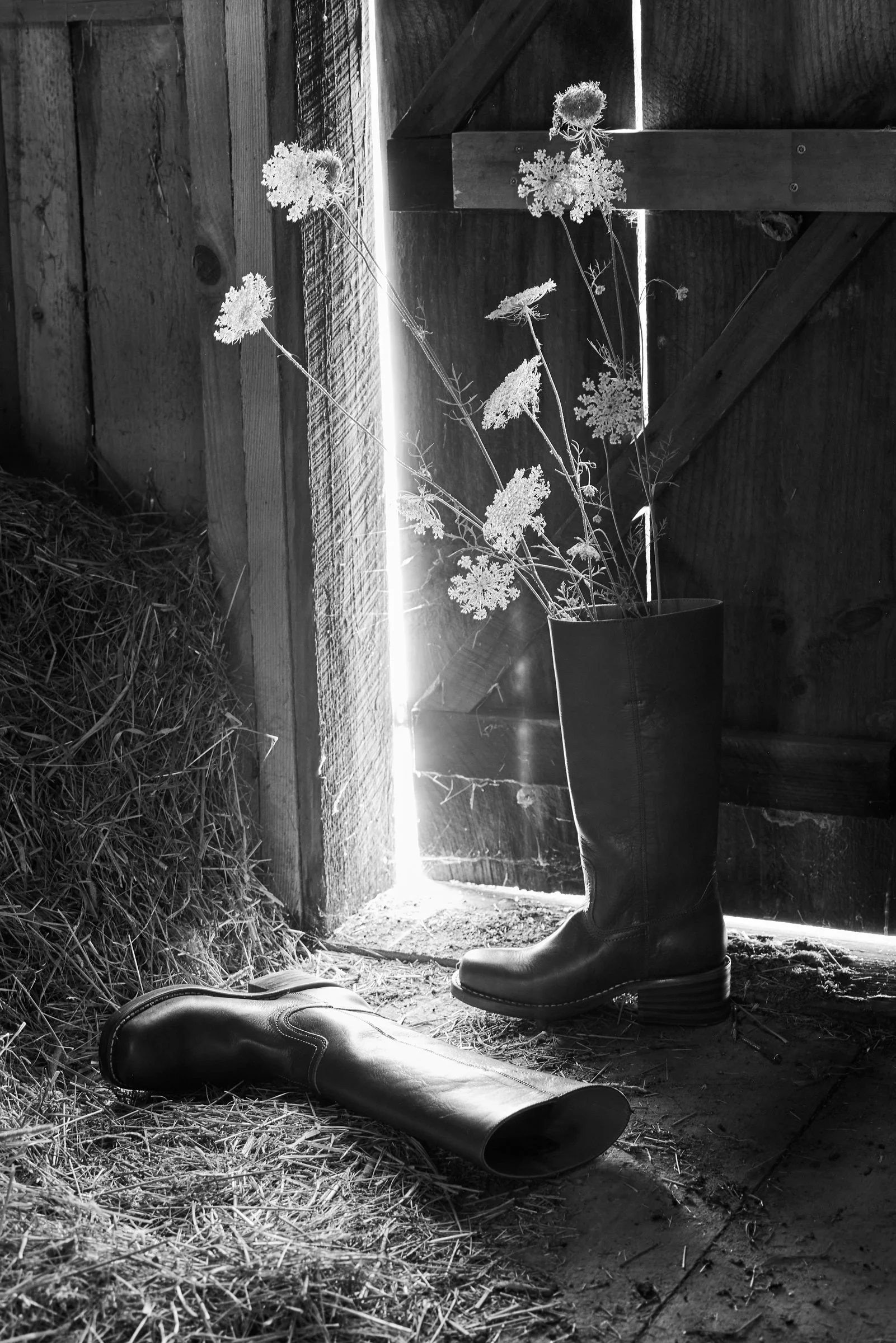 081225_NorumbegaStills0706 1.jpg