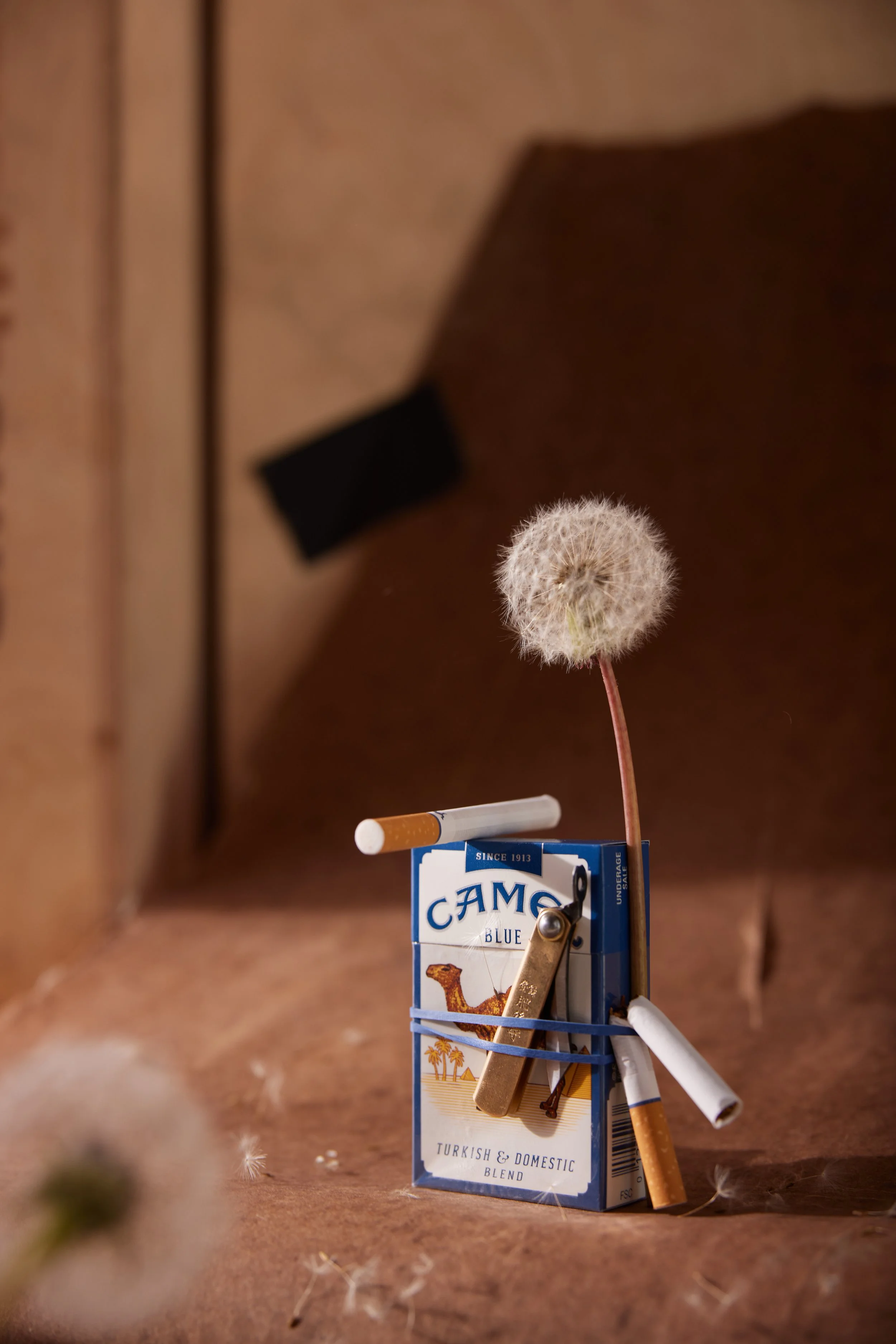 DANIELLE TEST - 05.26.2317913.JPG