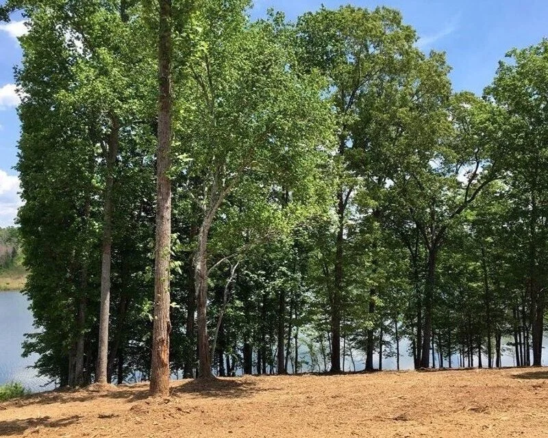 Photos — M&C Land Services, LLC