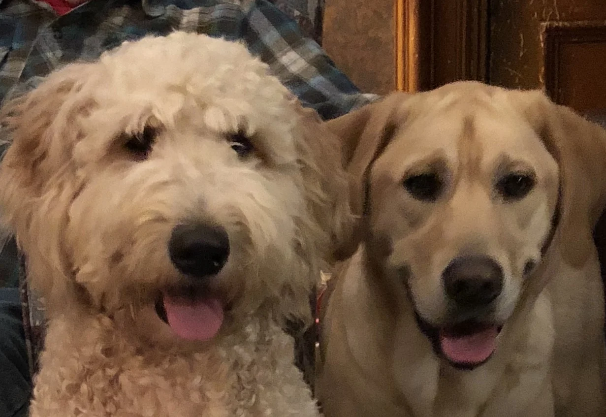 Gussie's place 2019 image.jpg