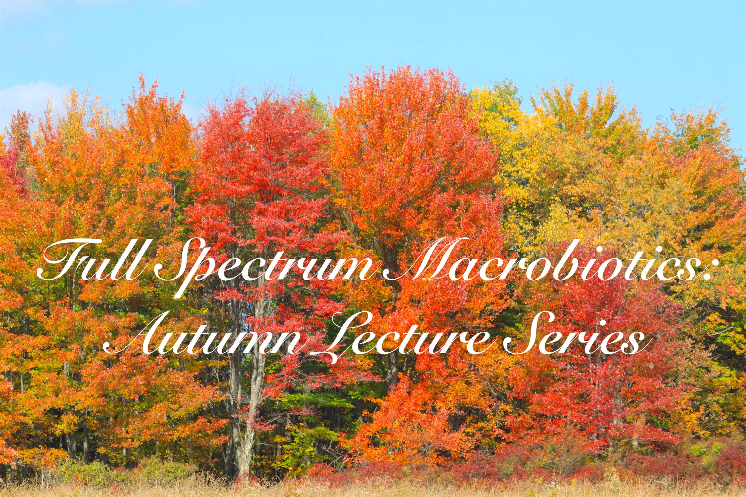 Full Spectrum Macrobiotics: Autumn Lecture Series
