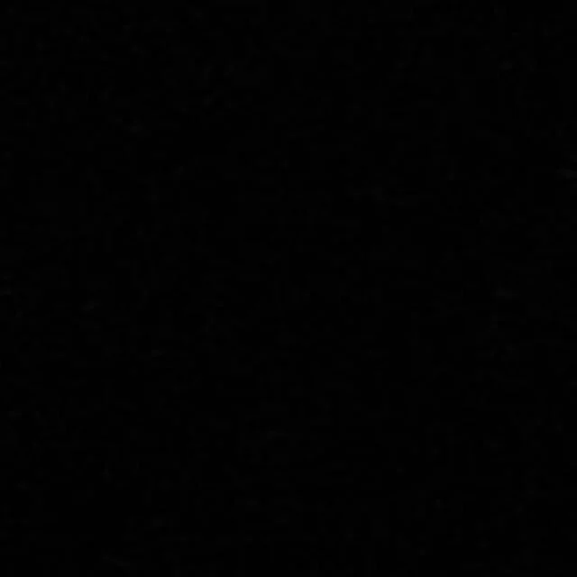 No cute pups today. #blackouttuesday