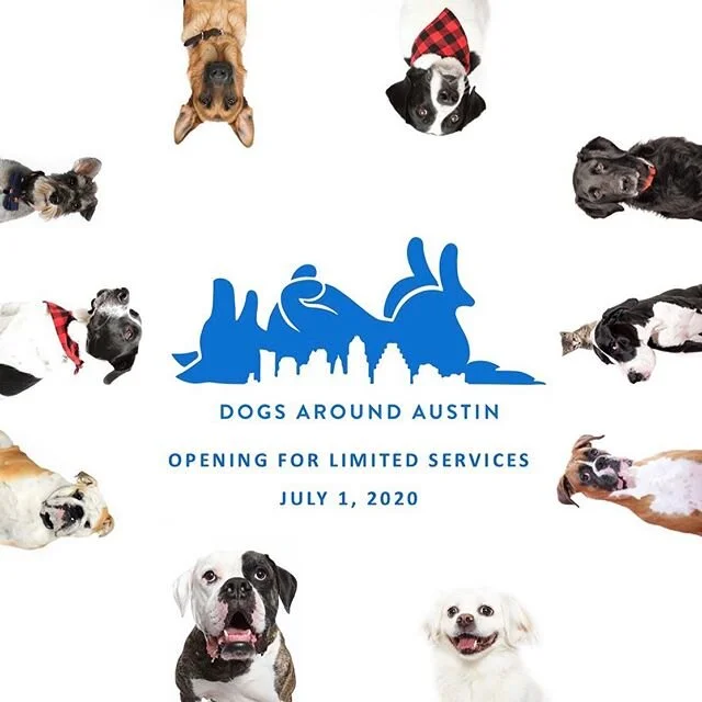 Hi Austin dog people! Starting July 1 we are finally opening our doors to your dogs! Due to the ongoing COVID-19 crisis we have decided to postpone the opening of all human spaces and activities until it is safe and responsible to do so. To us, the h