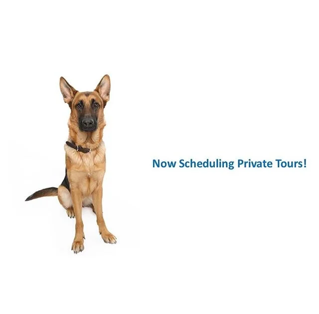 Call or email us today to set up a private tour! All tours are pre-scheduled and private to ensure the safety of our community. Don&rsquo;t forget your mask!

#dogsaroundaustin