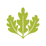 certified-icon1.png