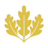 gold-icon3.png