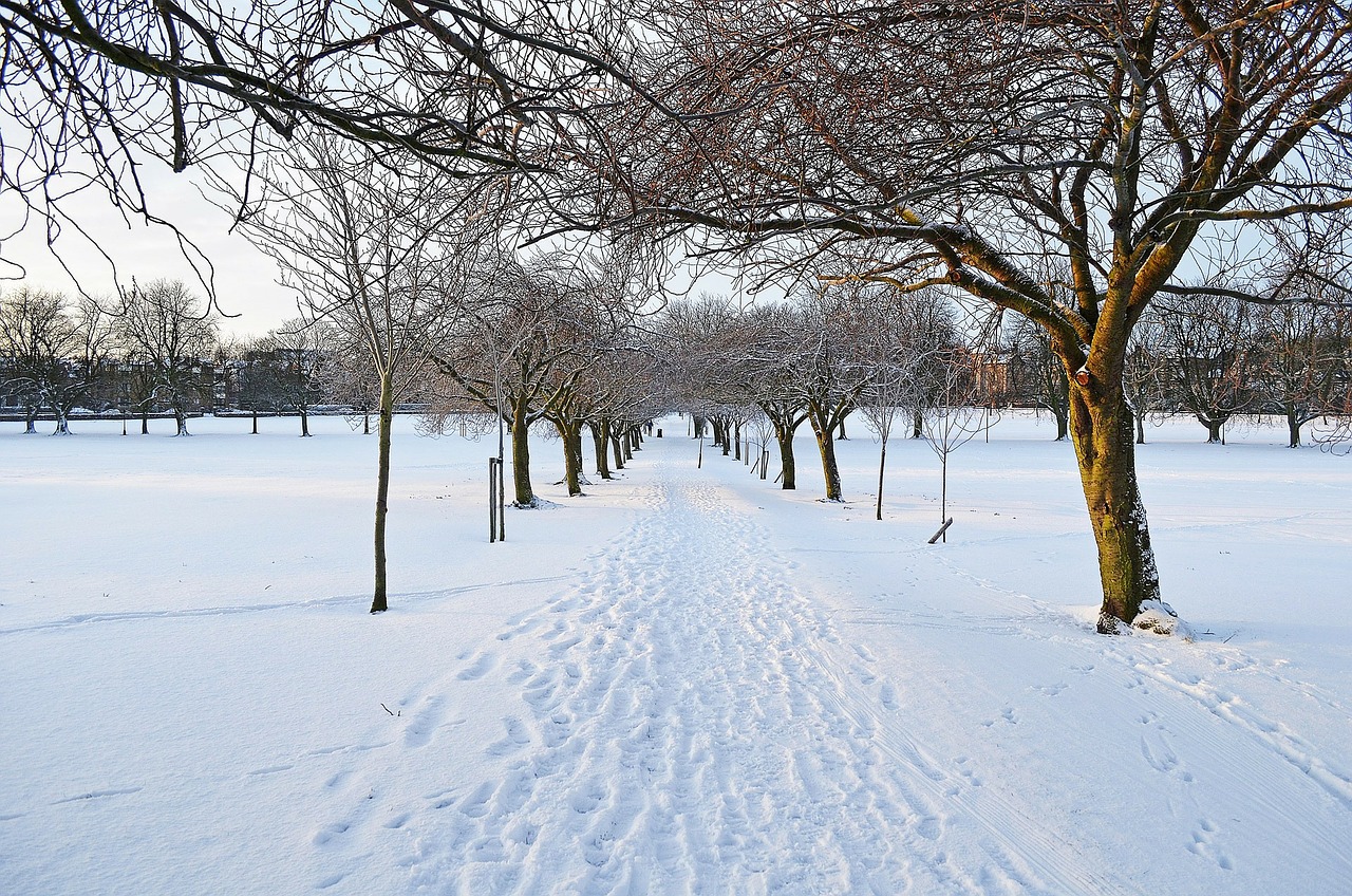 winter-72837_1280.jpg