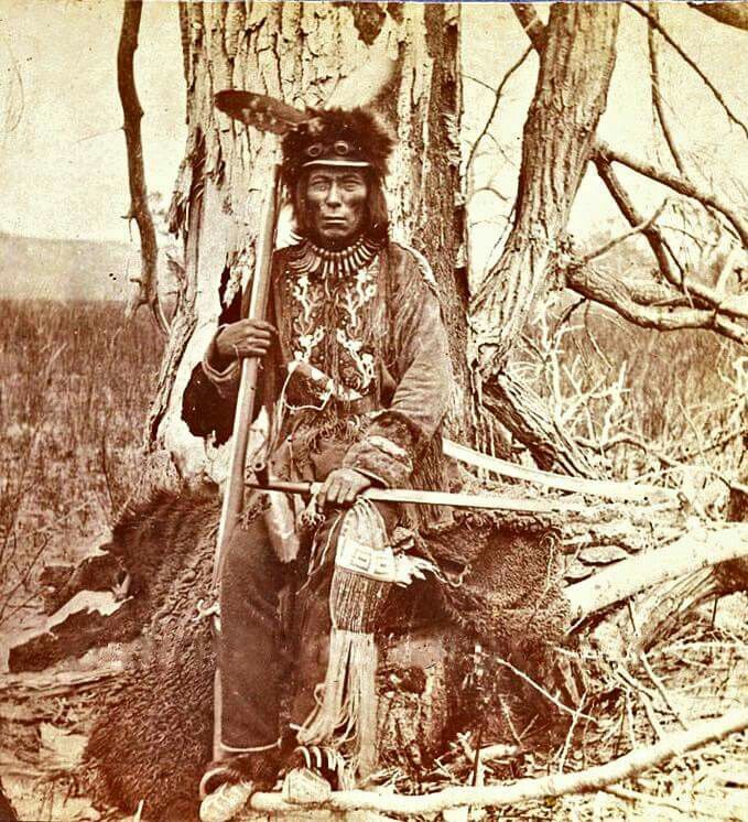 Medicine Bear, who was an "itáŋčaŋ," one of four primary chiefs of the Pȟabáksa (Cut-Head) division of the Iháŋktȟuŋwaŋna (Yanktonai). He is thought to have been forty years old when the reservation era, the time of nothing, began. Image attribution unknown