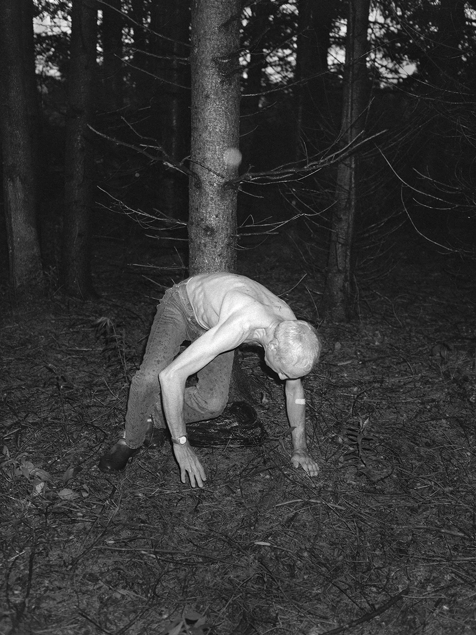 Shedding Dylan Hausthor