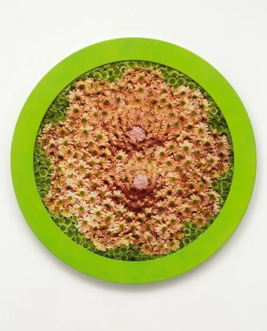 "Wreath to Pleasure No 6", 1992-1993