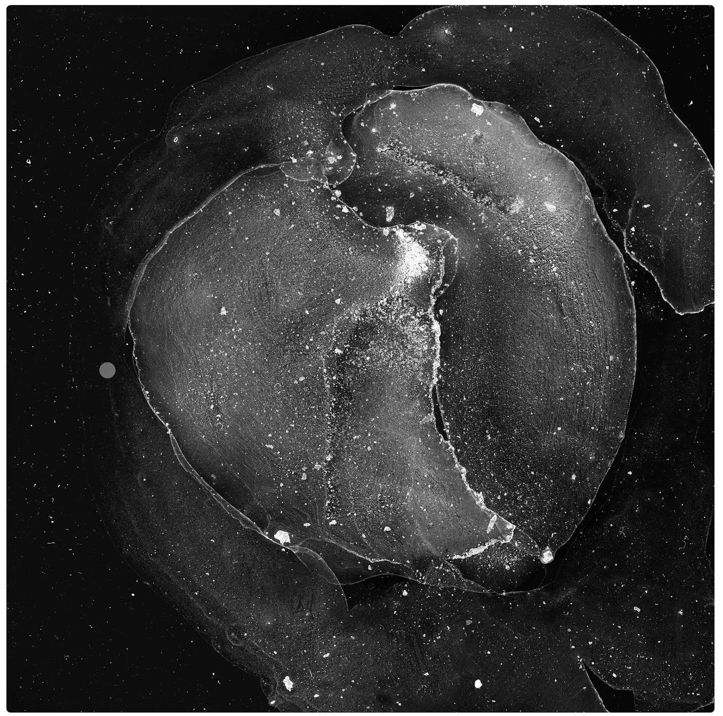 Friends! Last days to see &ldquo;The Haunted&rdquo; @mossgalleries and Light Manufacturing @cassidypoint. 

One week! Don&rsquo;t miss it! 

Please note Light Manufacturing is only open tomorrow and next Saturday. 🖤💫

Images in order of appearance 