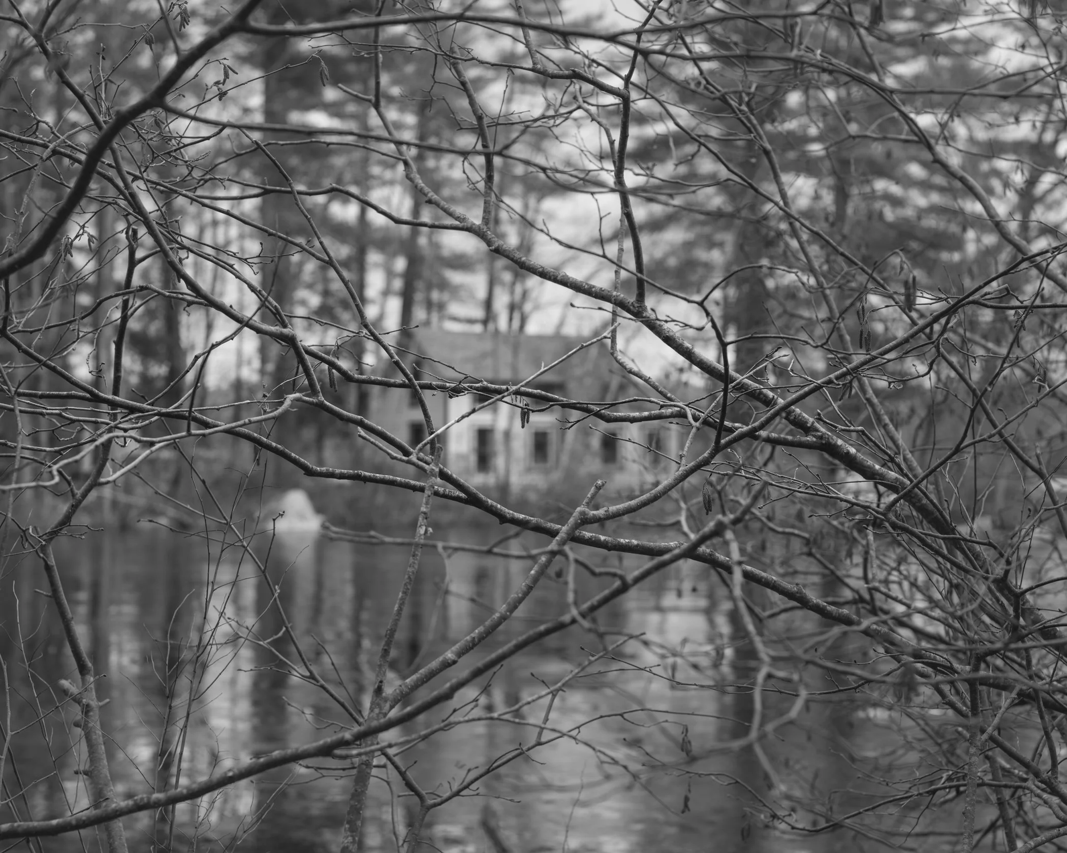 Trespass_Smith Galtney.jpg