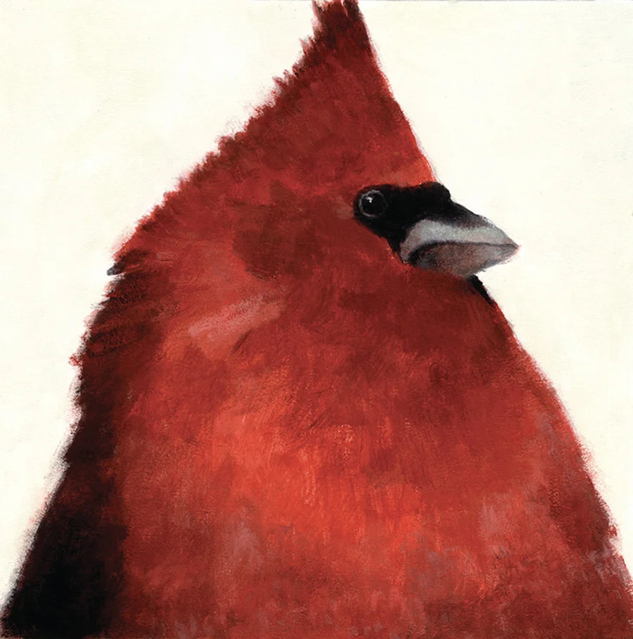 animals 06.jpg
