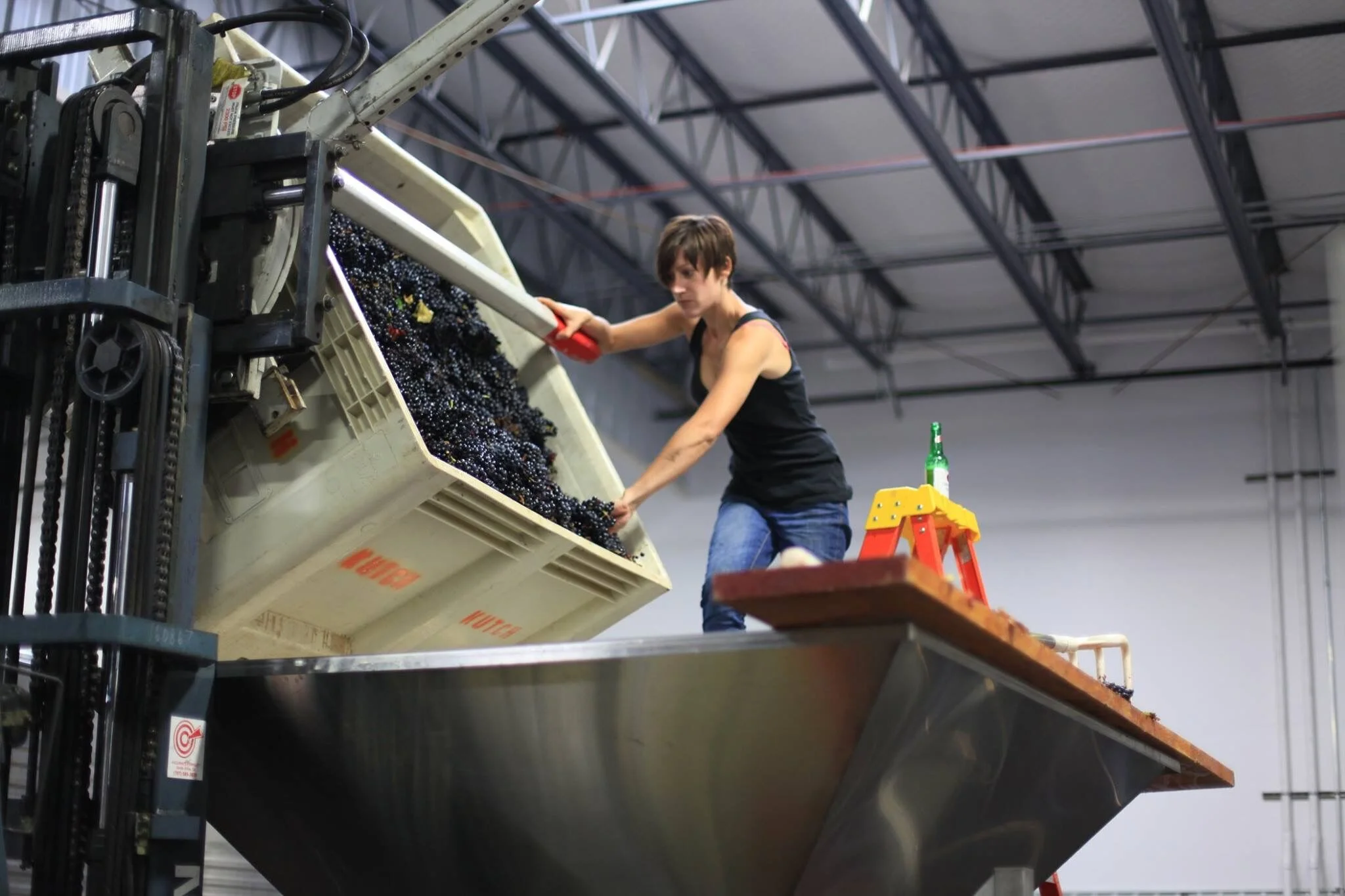Joanna showing off her “guns”, hard at work at Model Farm.