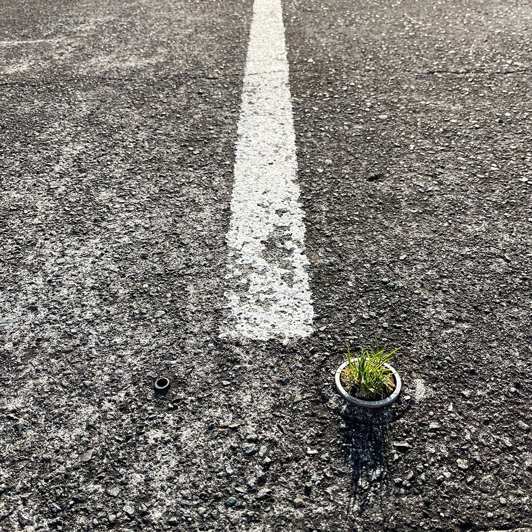 Life finds a way. Parking lot in Atami, Japan