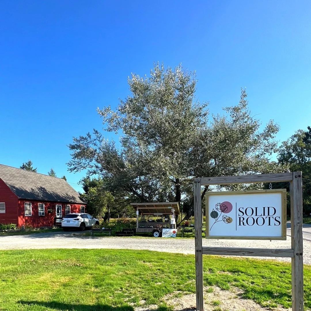Our new sign will make it easier to spot us at 122 Mud Creek Rd in Hancock for some pretty flowers and herbs at our farm stand! We just put out of Sedum &lsquo;Autumn Joy&rsquo; that&rsquo;s starting to bloom👌🏼 

#newsign #farmstand #flowerfarmer #