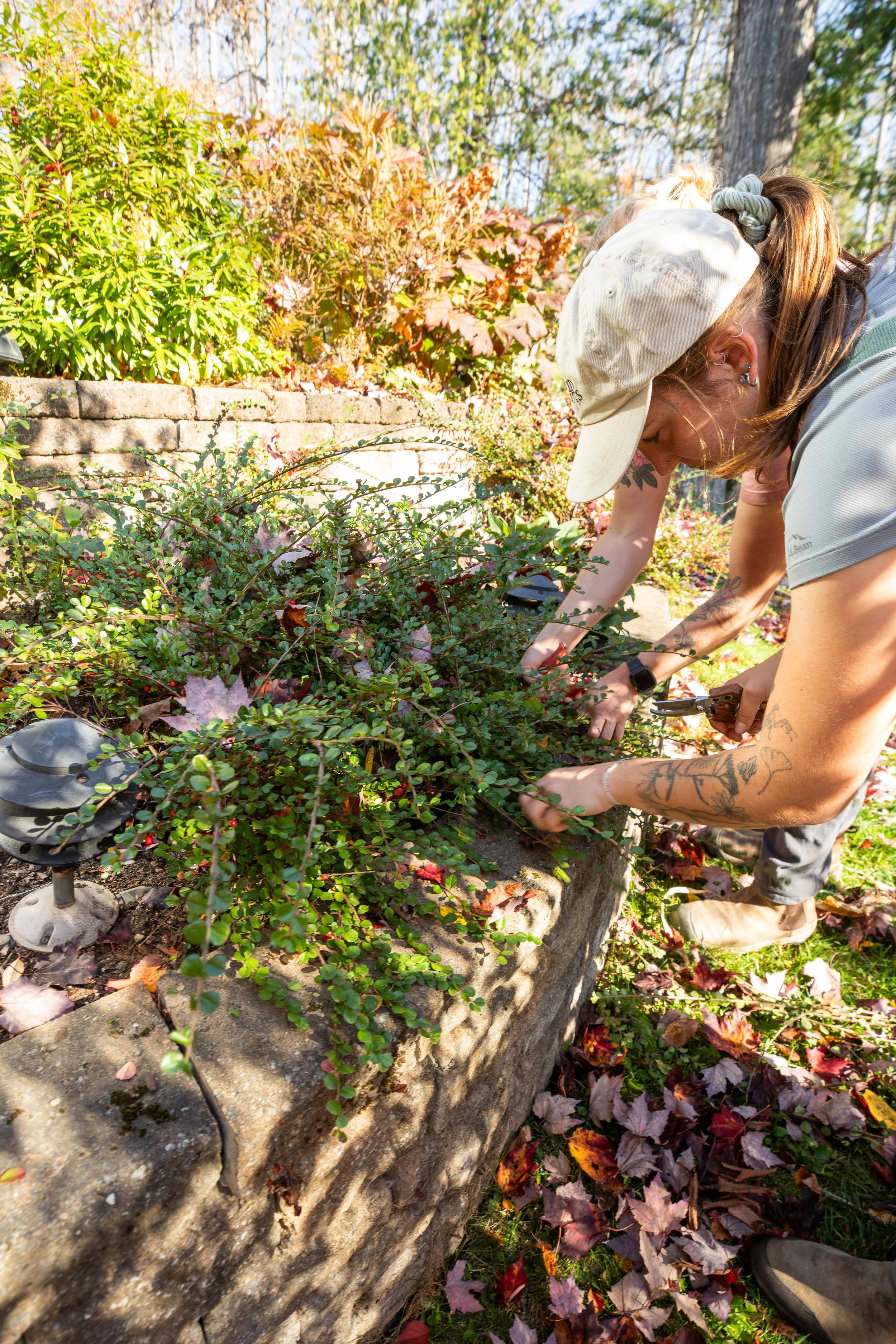 fall cleanup at maine estate garden