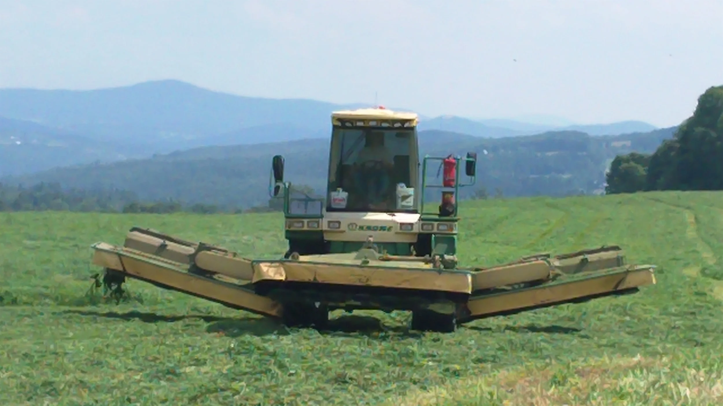 100_0024.197143551 - Copy.JPG