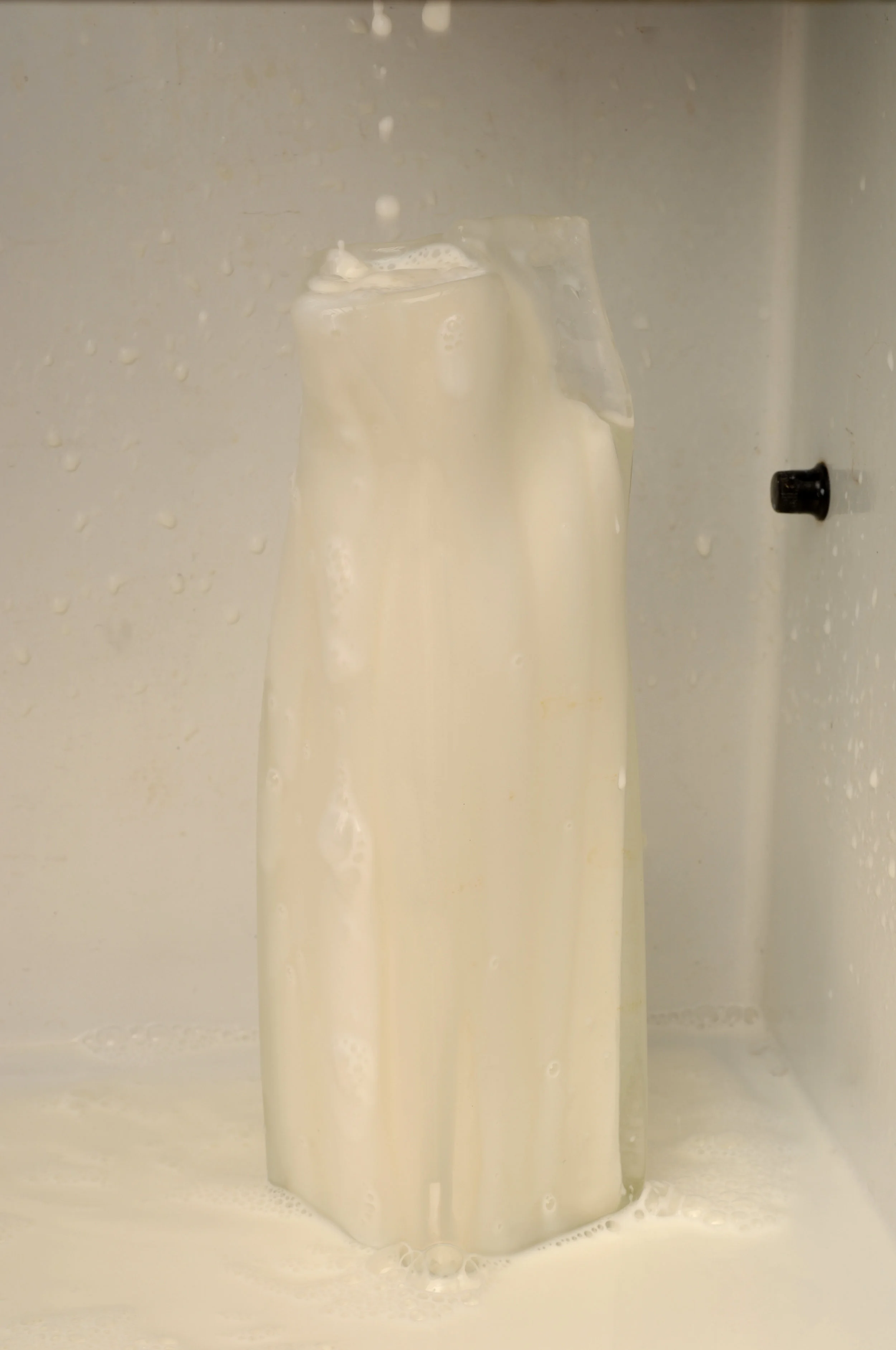 Best if Used By detail 2.jpg