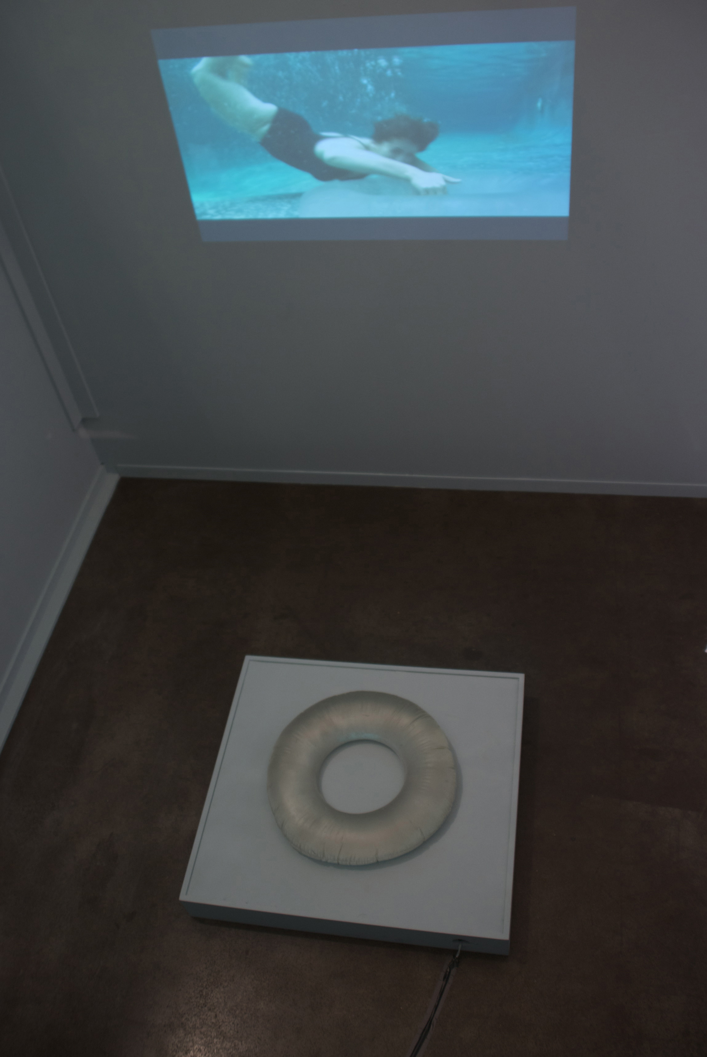 9. Suzanne Peck_Submerge Installation.jpg