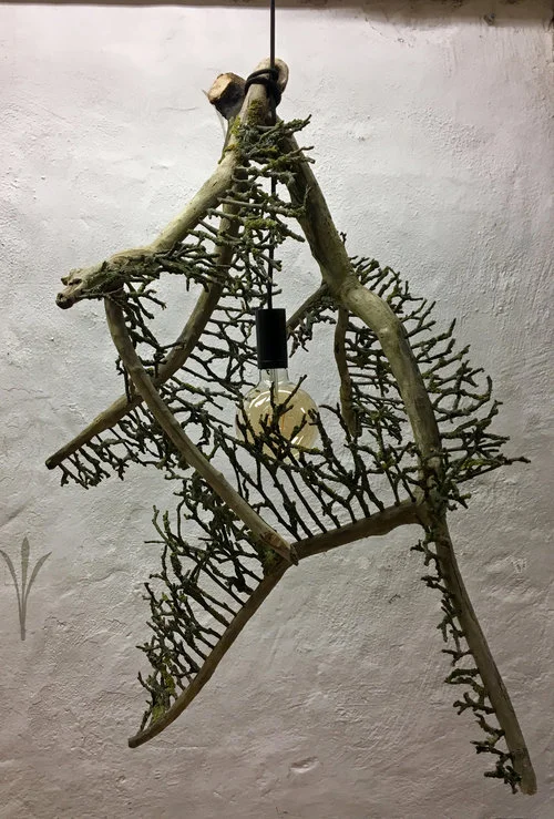 for+web+1.jpg