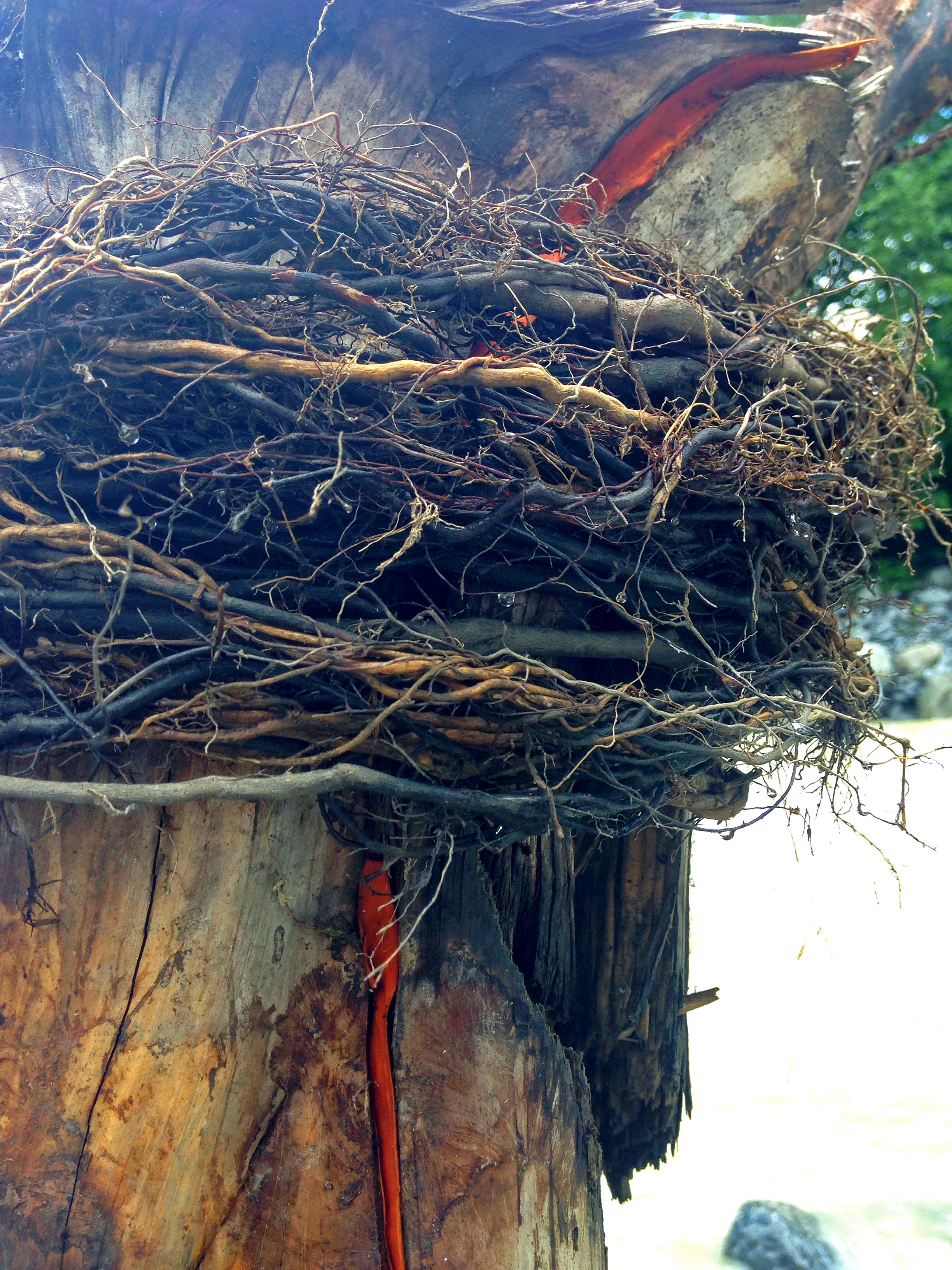 Land Art with fellow artist Erik Svang. Switzerland 2015