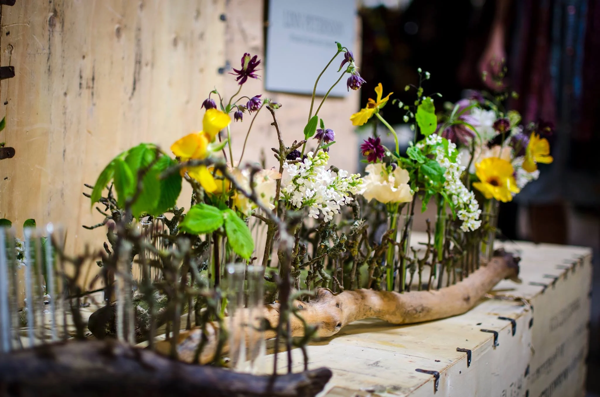 IMG_6471.jpg