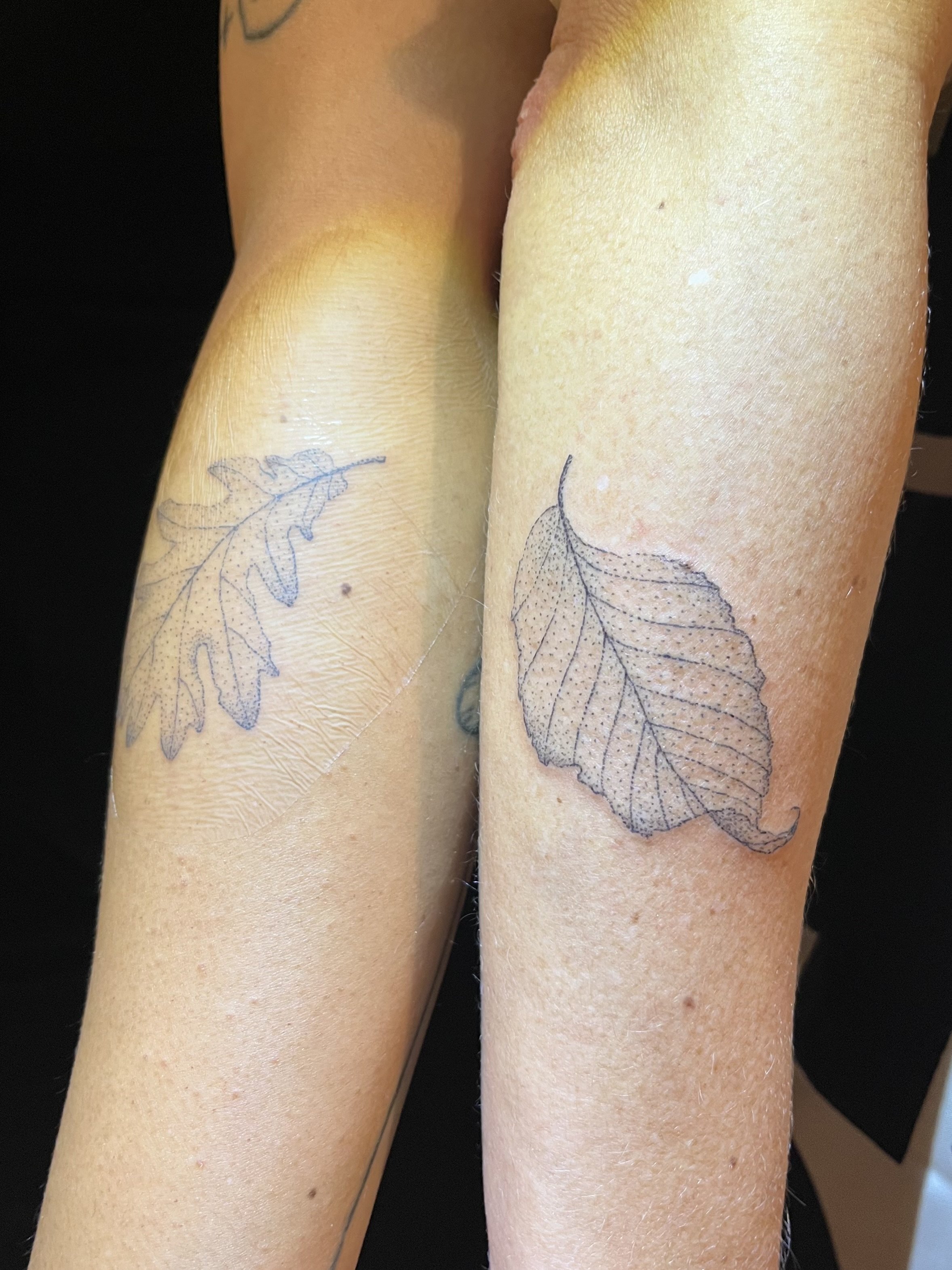 Lucky Bamboo Tattoo - @tattoosbypineapple ・・・ Aspen leaf from last week. # leaf #aspen #seeyoutomorrow #dotworktattoo #inked #tattoo #artist  #tattooartist #tattooedgirls #outlaworganics #cheyennesolnova #ink  #dermalizepro #worldfamousink #tattoos ...