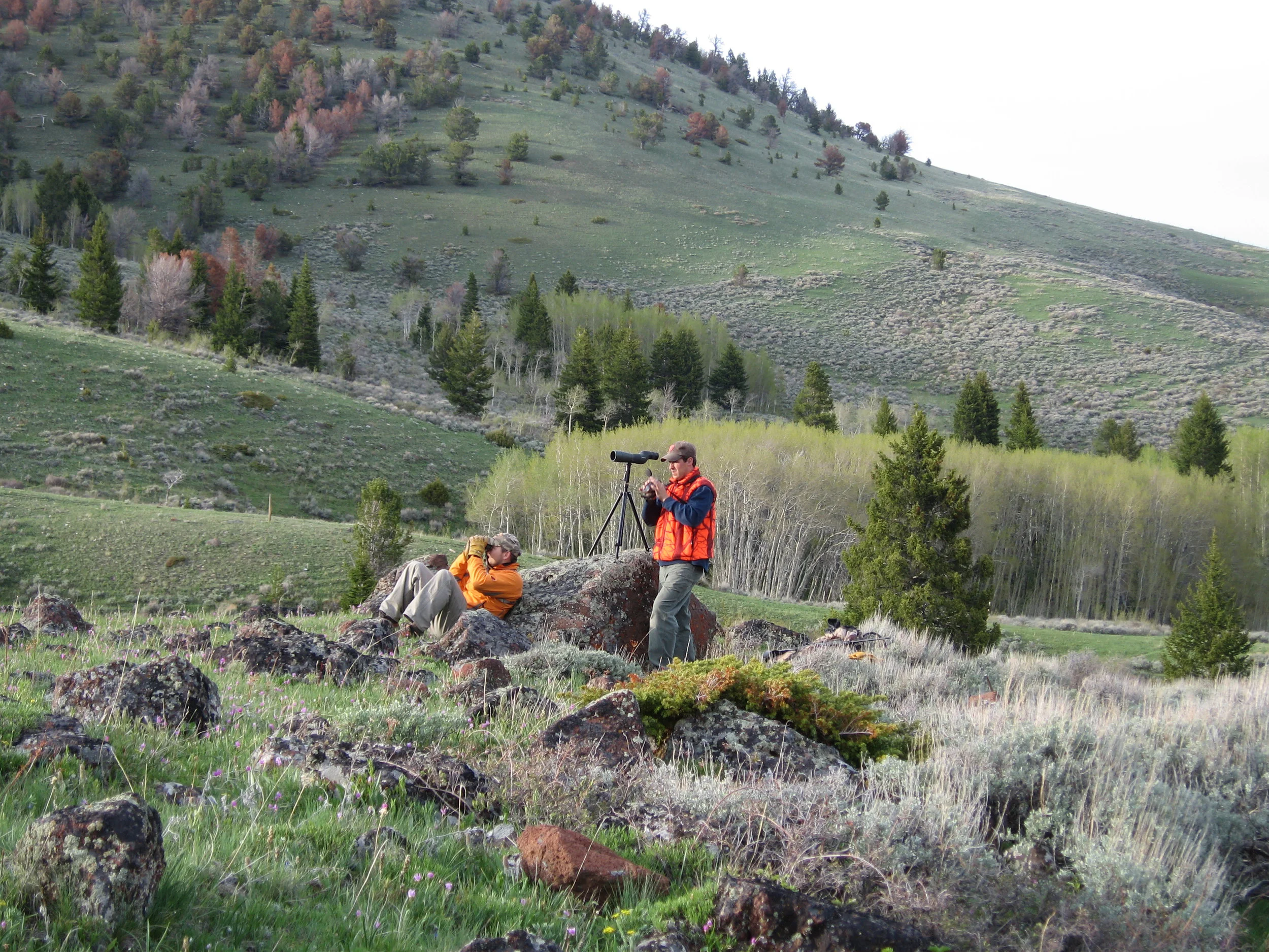 Scott Falagan and Mark Edgell glassing for Montana high country bears.