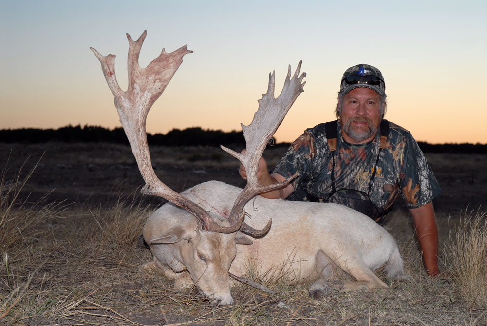 bobfallow1.jpg