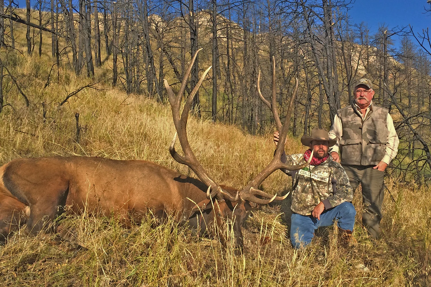 122115DerekWendtBull_large.jpg